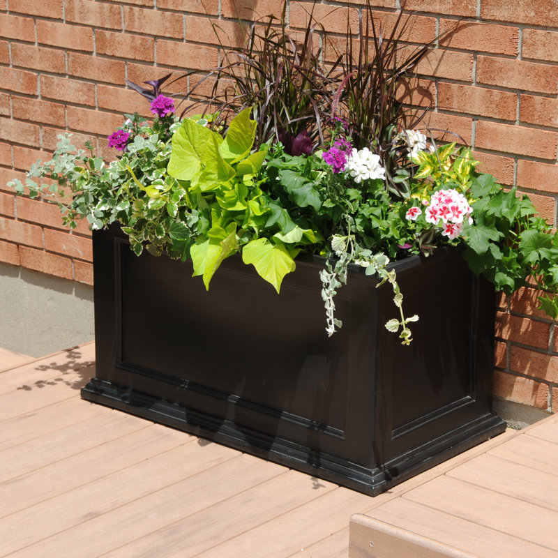 Mayne Inc. Fairfield Self Watering Plastic Planter Box & Reviews Wayfair
